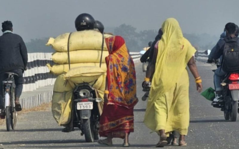 किसानलाई भारतीय मलकै भर