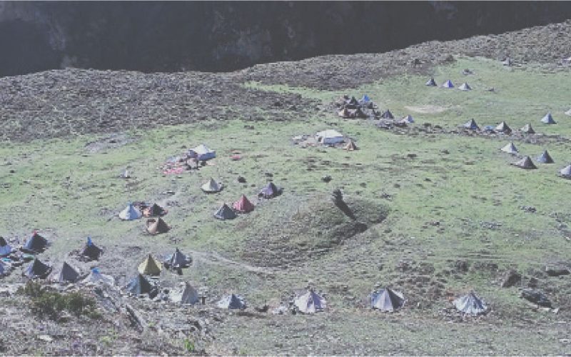 पढाइ छाडेर यार्चागुम्बा टिप्न व्यस्त