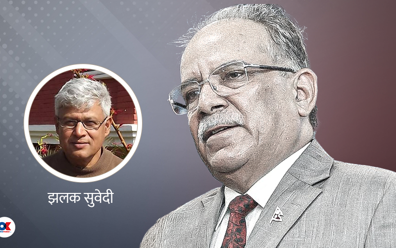 लिची बगैंचा हत्याउन गिरोह फेरिरहन्छन् सुजन, हकवालादेखि पैसावालासम्म करारनामा