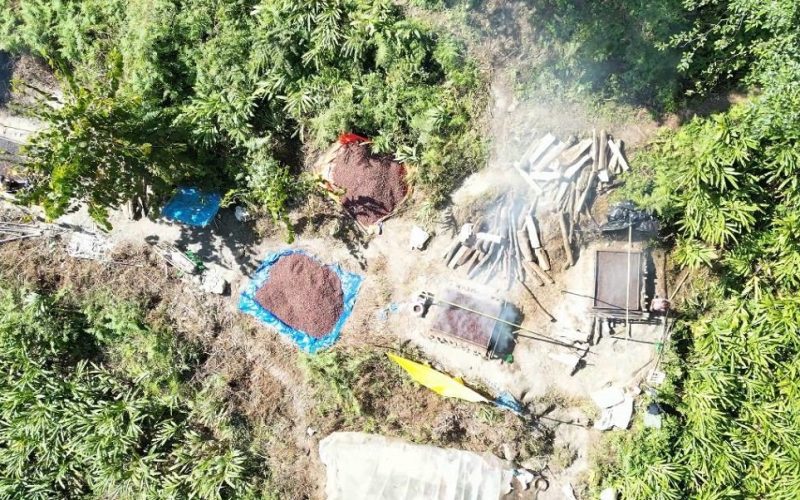 अलैंची निर्यातमा गोलमाल : ६० प्रतिशत ‘अन्डर बिलिङ’ले तथ्याङ्कमै गडबडी